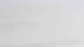 camarones al chipotle