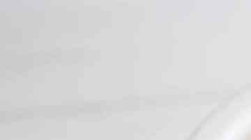 camarones al chipotle