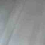 camarones en salsa de mango