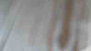 camarones en salsa de mango