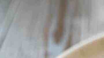 camarones en salsa de mango