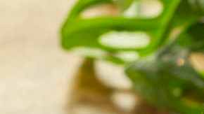 Receta de crema de almendras con jengibre