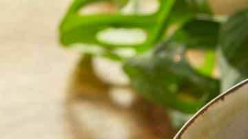 Receta de crema de almendras con jengibre