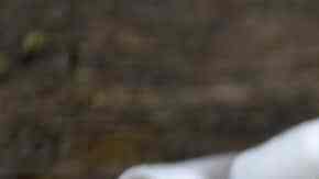 frijoles con costillas