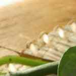 crema de pimiento amarillo