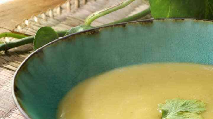 crema de pimiento amarillo