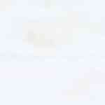 hamburguesas de berenjenas