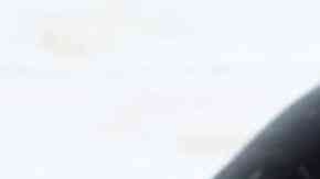 hamburguesas de berenjenas