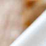 bandeja con muslos de pollo al brandy