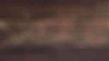 salsas para ponerle a tus alitas de pollo