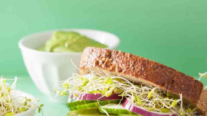 dos sandwichs vegetarianos de aguacate con alfalfa
