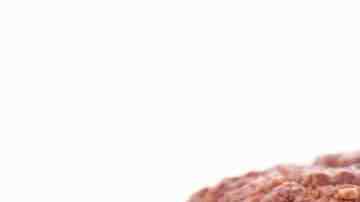 Galletas de chocolate sin azúcar