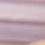 Milhojas de crema pastelera