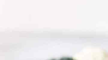 Hamburguesa de brócoli