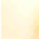 Mango adobado venezolano