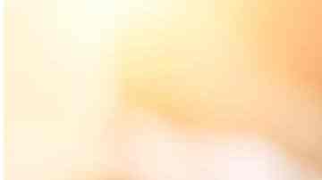 Mango adobado venezolano