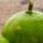 Sopa de pata de pollo