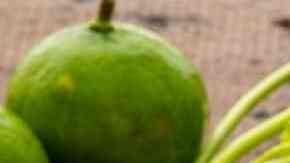 Sopa de pata de pollo