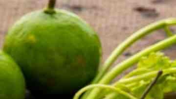 Sopa de pata de pollo