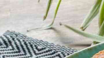 nopales capeados con queso