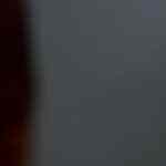 galletas de almendras vegana