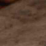 Chile relleno de carne