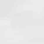 galletas de almendras y chocolate