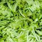 Hamburguesa de Calabacín