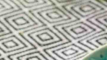 quesadillas de cerdo en salsa verde