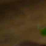 mousse de dulce de leche