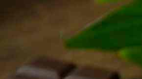 mousse de dulce de leche