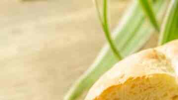 torta de pavo recalentado