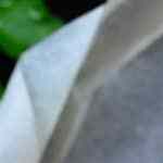 Papillote de salmón