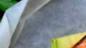 Papillote de salmón