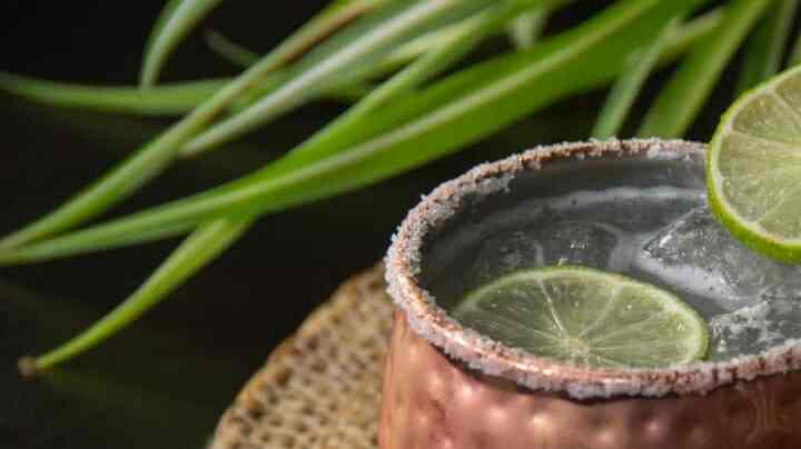 mexican mule