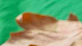 pay de manzana en sartén