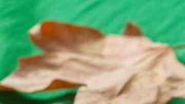 pay de manzana en sartén