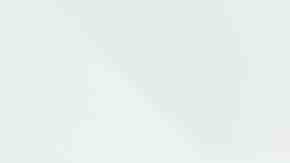 plato de arroz integral con verduras