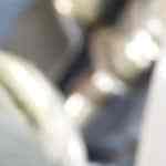 bacalao frito con cebolla caramelizada