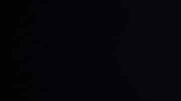 chiles rellenos de pollo