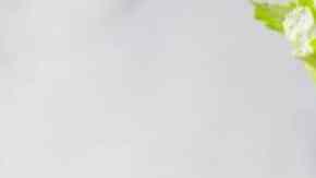 jugos détox antioxidantes