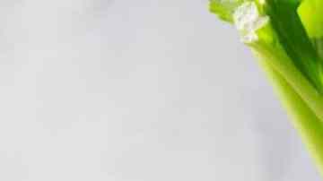 jugos détox antioxidantes