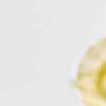 empanada de jamón y queso venezolana