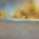 hamburguesa de quinoa