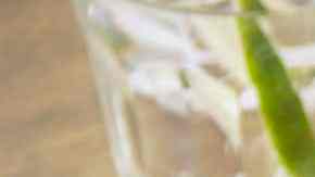 Jalapeños rellenos de carne