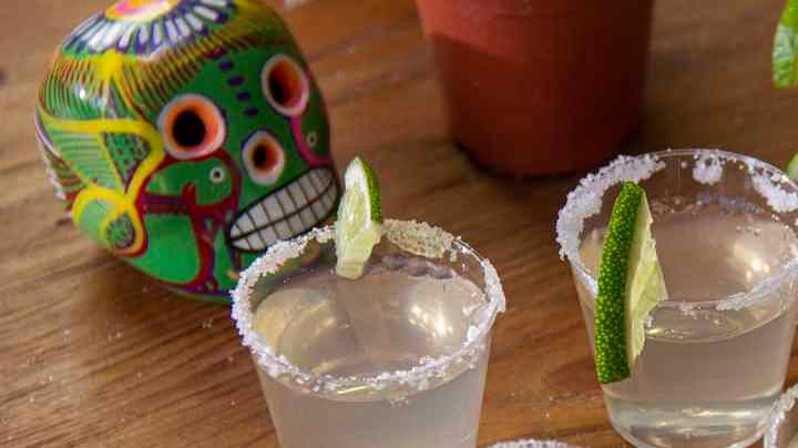 Jelly shot de margarita