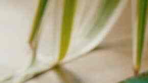 tortitas de papa con atún