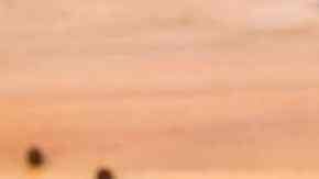 delicioso pollo en salsa de brocoli