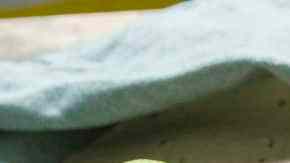 Salteado de carne con verduras