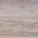 Empanada de pollo venezolana